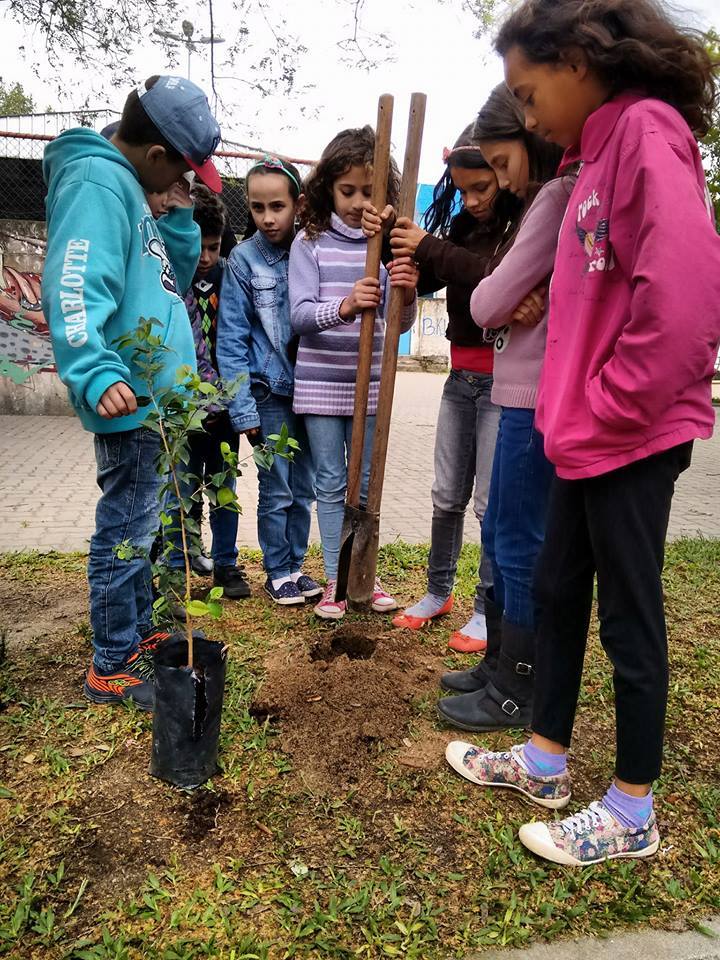 03 - Aprendendo a plantar.jpg